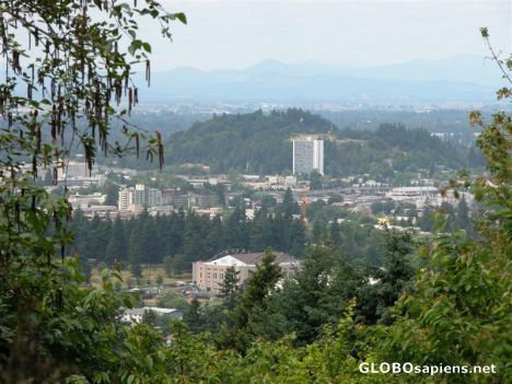 Overview of Eugene, Oregon