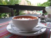 Spicy Tortilla Soup on the Main Plaza in Palenque